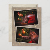 Carte Postale Chat de Noël humoristique (Devant / Derrière)