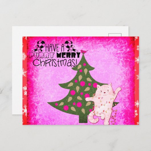 Carte Postale Chat de Noël joyeux (Devant / Derrière)