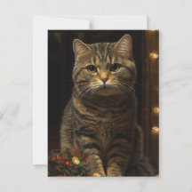 Chat de Noël mignon