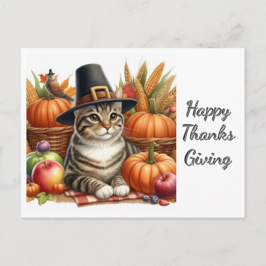 Carte Postale Chat de pèlerin de Thanksgiving et Citrouilles (Devant)