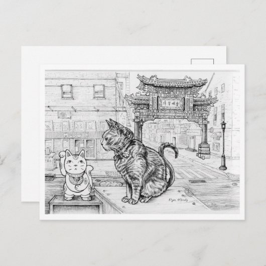 Carte Postale Chat de Philly à Chinatown (Devant / Derrière)
