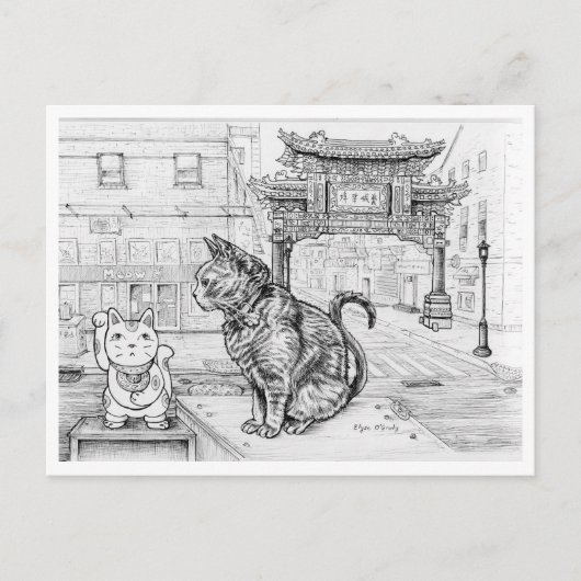Carte Postale Chat de Philly à Chinatown (Devant)