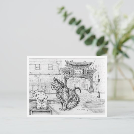 Carte Postale Chat de Philly à Chinatown (Debout devant)