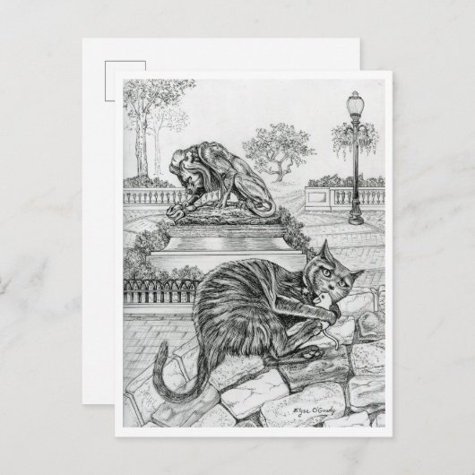 Carte Postale Chat de Philly à Rittenhouse (Devant / Derrière)