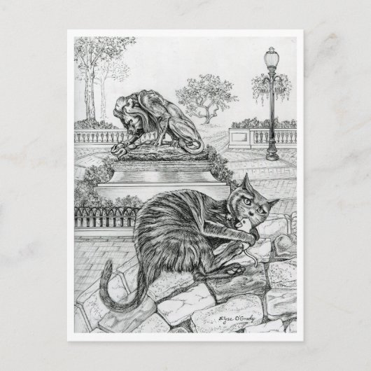 Carte Postale Chat de Philly à Rittenhouse (Devant)