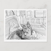 Carte Postale Chat de Philly dans le métro (carte postale) (Devant)