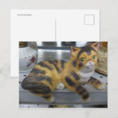 Carte Postale Chat de plateau (Devant / Derrière)