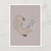 Carte Postale Chat de Postcard (Devant)