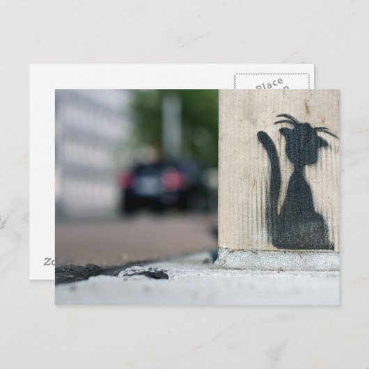 Carte Postale chat de rue (Devant / Derrière)
