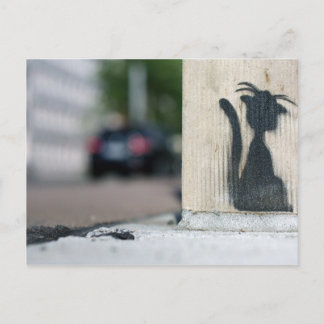 Carte Postale chat de rue