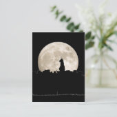 Carte Postale Chat de ruelle Lune (Debout devant)