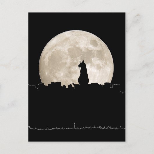 Carte Postale Chat de ruelle Lune (Devant)