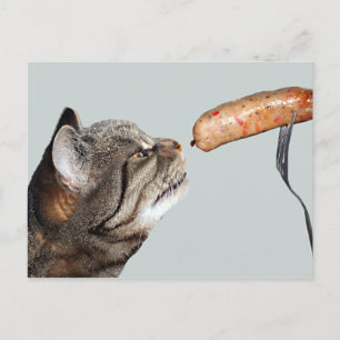 Carte postale Chat de saucisse amusante