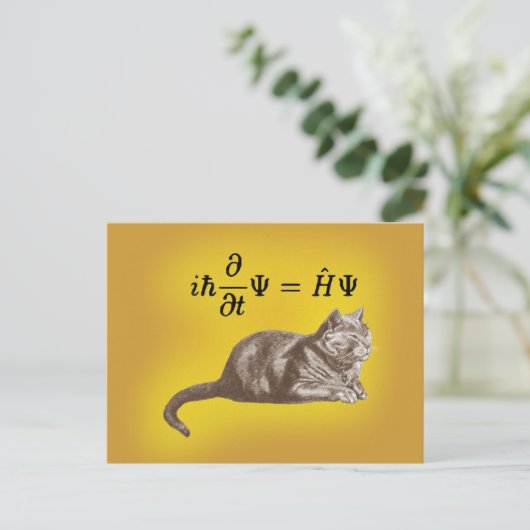 Carte Postale Chat de Schrodinger (Debout devant)