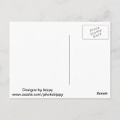 Carte Postale Chat de Schrodinger (Dos)