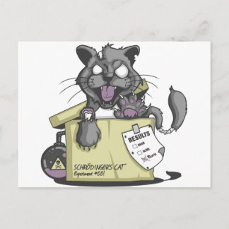 Carte Postale Chat de Schrodinger - Nouveau