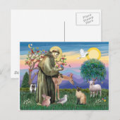 Carte Postale Chat de Siamese et Saint François (Devant / Derrière)
