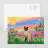 Carte Postale Chat de Siamese - Étoile de jour (Devant / Derrière)