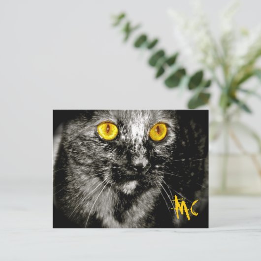 Carte postale Chat de singe (Debout devant)