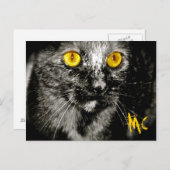 Carte postale Chat de singe (Devant / Derrière)