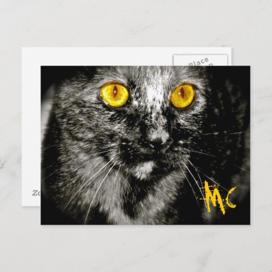 Carte postale Chat de singe (Devant / Derrière)