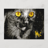 Carte postale Chat de singe (Devant)