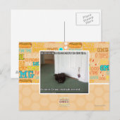 Carte Postale Chat de sous-sol, légèrement désorienté (Devant / Derrière)