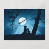 Carte Postale Chat de vacances Chien et Père Noël (Devant)