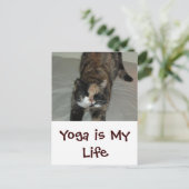 Carte Postale Chat de Yoga (Debout devant)