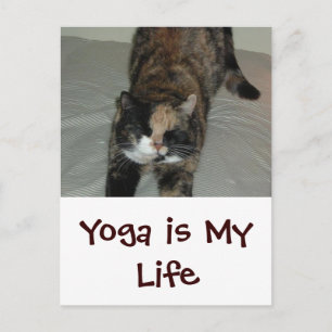 Carte Postale Chat de Yoga