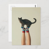Carte Postale Chat d'équilibrage sur Chaussettes rayées, Amoureu (Devant / Derrière)