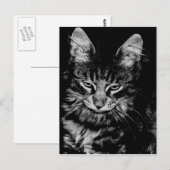 Carte Postale Chat des Forêts Norvégien (Devant / Derrière)