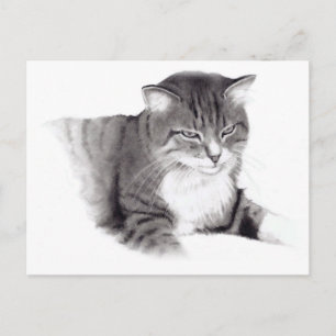 Carte Postale Chat: Dessin au crayon : Art original