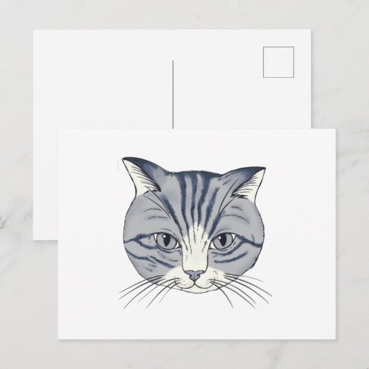 Carte Postale Chat dessiné à la main (Devant / Derrière)