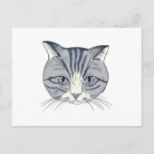Carte Postale Chat dessiné à la main (Devant)