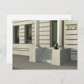 Carte Postale Chat d'été (Devant / Derrière)