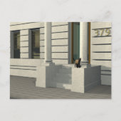 Carte Postale Chat d'été (Devant)