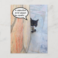 CHAT DÉTECTIF DERRIÈRE LE MUR DE PIERRE / Fête des
