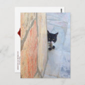 Carte Postale CHAT DÉTECTIF DERRIÈRE LE MUR DE PIERRE / Fête des (Devant / Derrière)