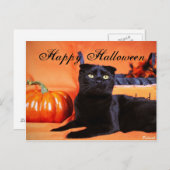 Carte Postale Chat d'Halloween (Devant / Derrière)