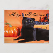 Carte Postale Chat d'Halloween (Devant)