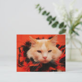 Carte Postale Chat d'Halloween (Debout devant)