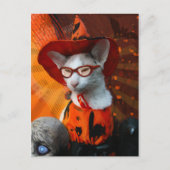 Carte Postale Chat d'Halloween (Devant)