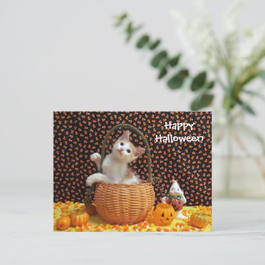 Carte Postale Chat d'Halloween d'Annie (Debout devant)