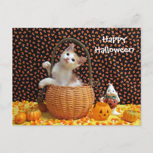 Carte Postale Chat d'Halloween d'Annie (Devant)