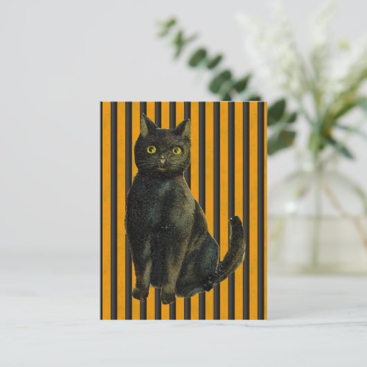 Carte Postale Chat d'Halloween vintage (Debout devant)