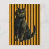 Carte Postale Chat d'Halloween vintage (Devant)