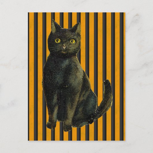 Carte Postale Chat d'Halloween vintage (Devant)