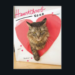 Carte Postale Chat d'idole<br><div class="desc">Maintenant votre chat peut suivre dans les pawprints vénérables des étoiles félines les plus lumineuses de l'Internet. Customisez cette conception en téléchargeant la photo de votre chat et transformez immédiatement votre chat en célébrité d'Internet. (Les conceptions ont inspiré par le comment faire à votre chat un livre de célébrité d'Internet.)...</div>