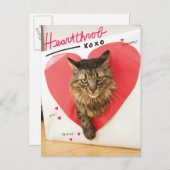 Carte Postale Chat d'idole (Devant / Derrière)